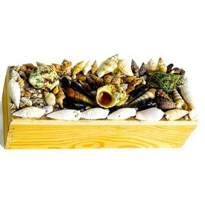 Wood Nautical Box Gift Wooden Seashells Treasure Chest Nautical Themed Decor